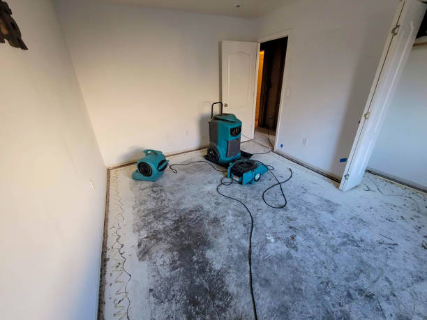 Best 24/7 water damage repair  in Lonaconing, MD