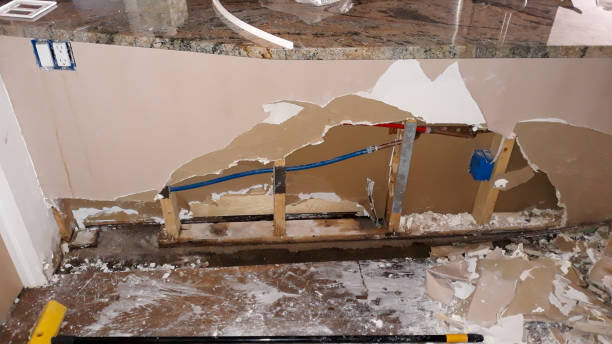 Best Water damage restoration experts  in Lonaconing, MD