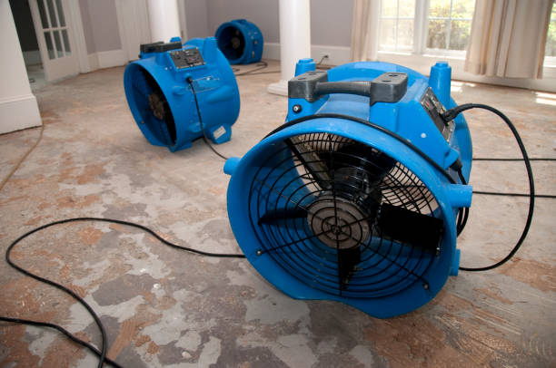 Best Carpet water damage restoration  in Lonaconing, MD